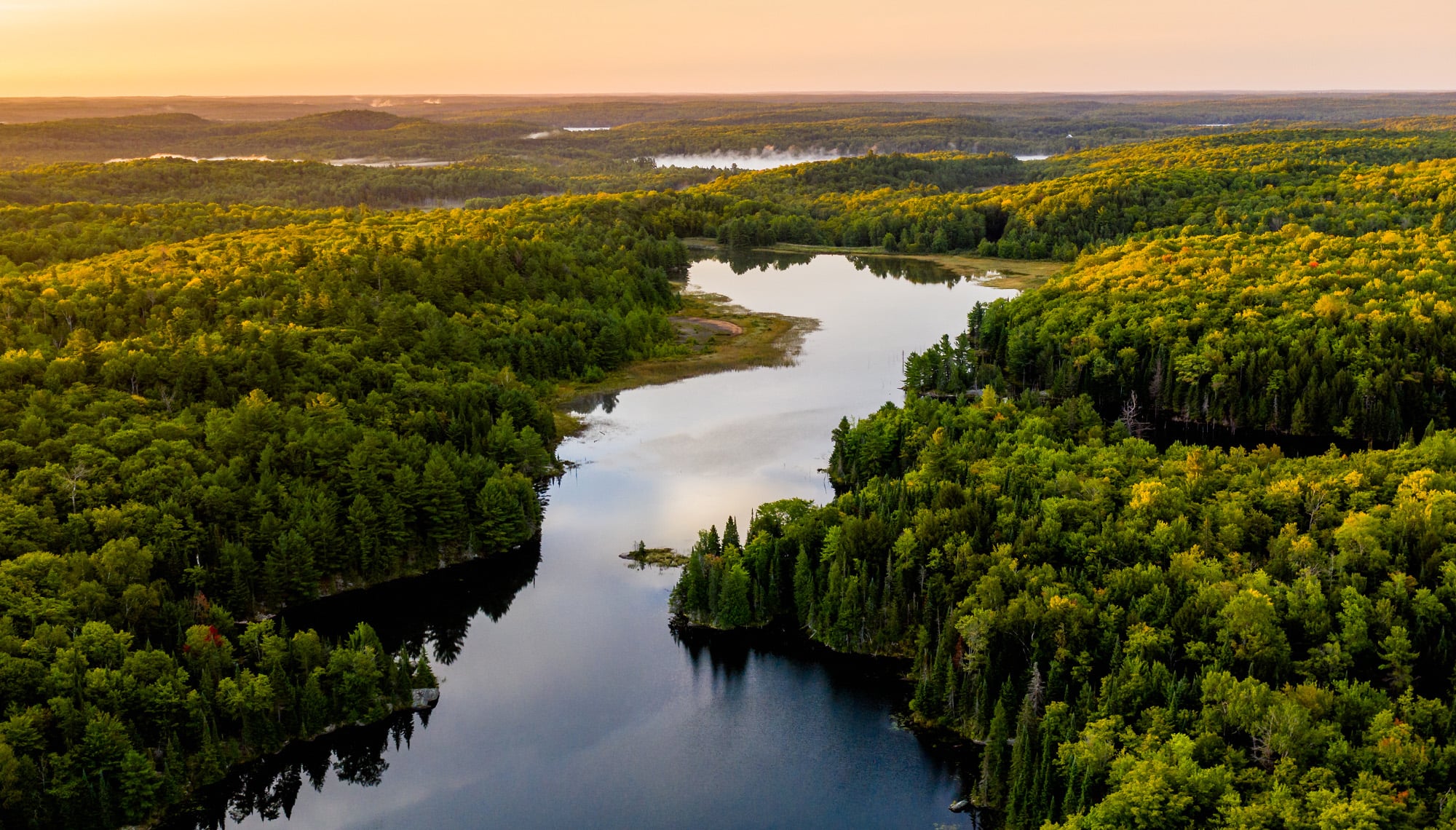 Un paesaggio di alberi con un lago